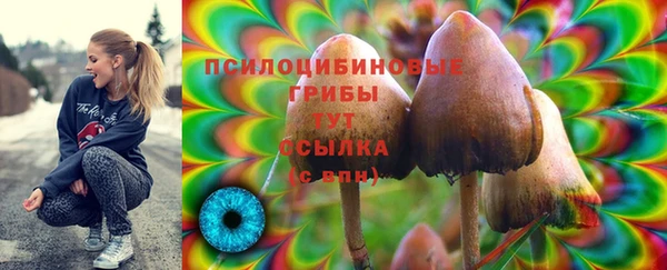 экстази Армянск