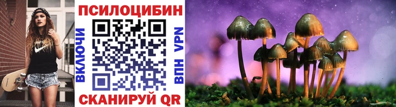 Псилоцибиновые грибы Psilocybe  Купить  Краснодар 